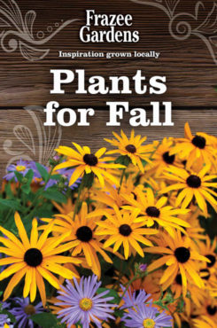 Fall_Plants_490