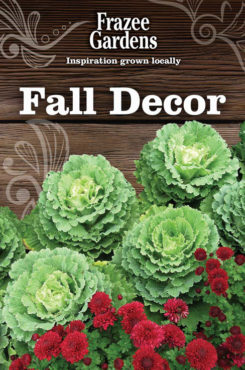 Fall_decor_Kale_Mums_740x488