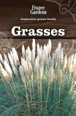 Grasses_490x740