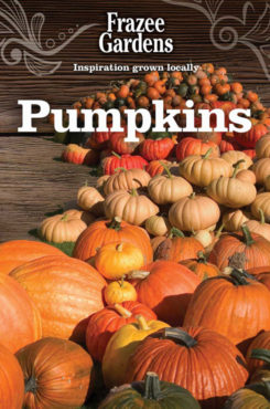 Pumpkins_490